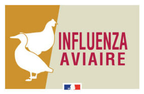 INFLUENZA AVIAIRE – nouvelles mesures