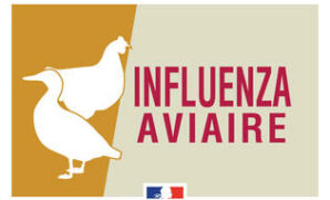 INFLUENZA AVIAIRE – nouvelles mesures